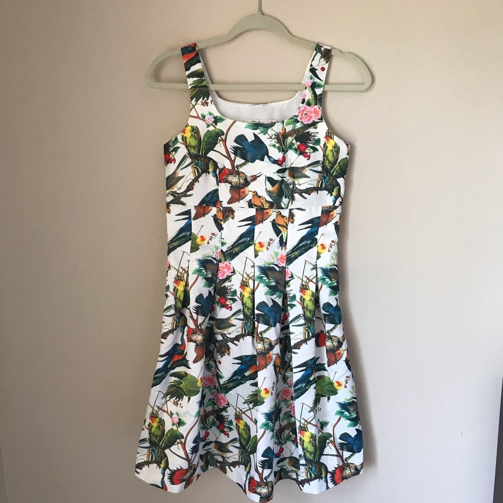 Darling London Exotic Birds Dress size 6